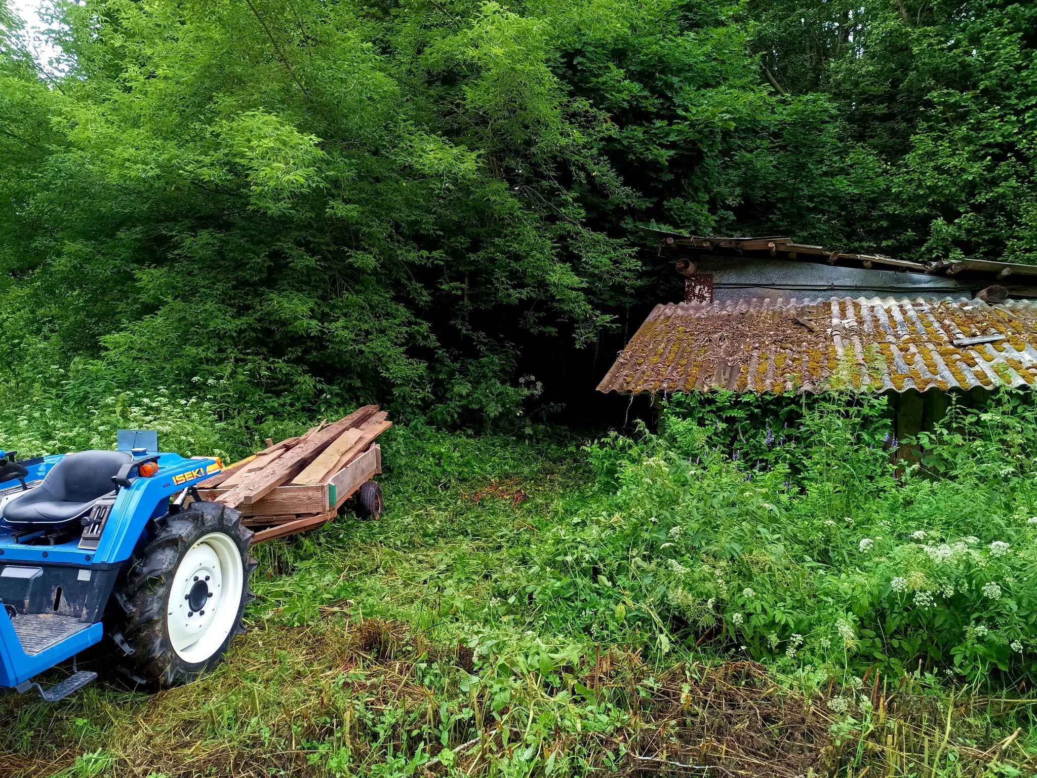 A small blue tractor with a trailer is backed into a path cleared through overgrown vegetation. A shed with a lean-to is perched between green growth and trees. The trailer is laden with scrap wood pieces up to 4m long.