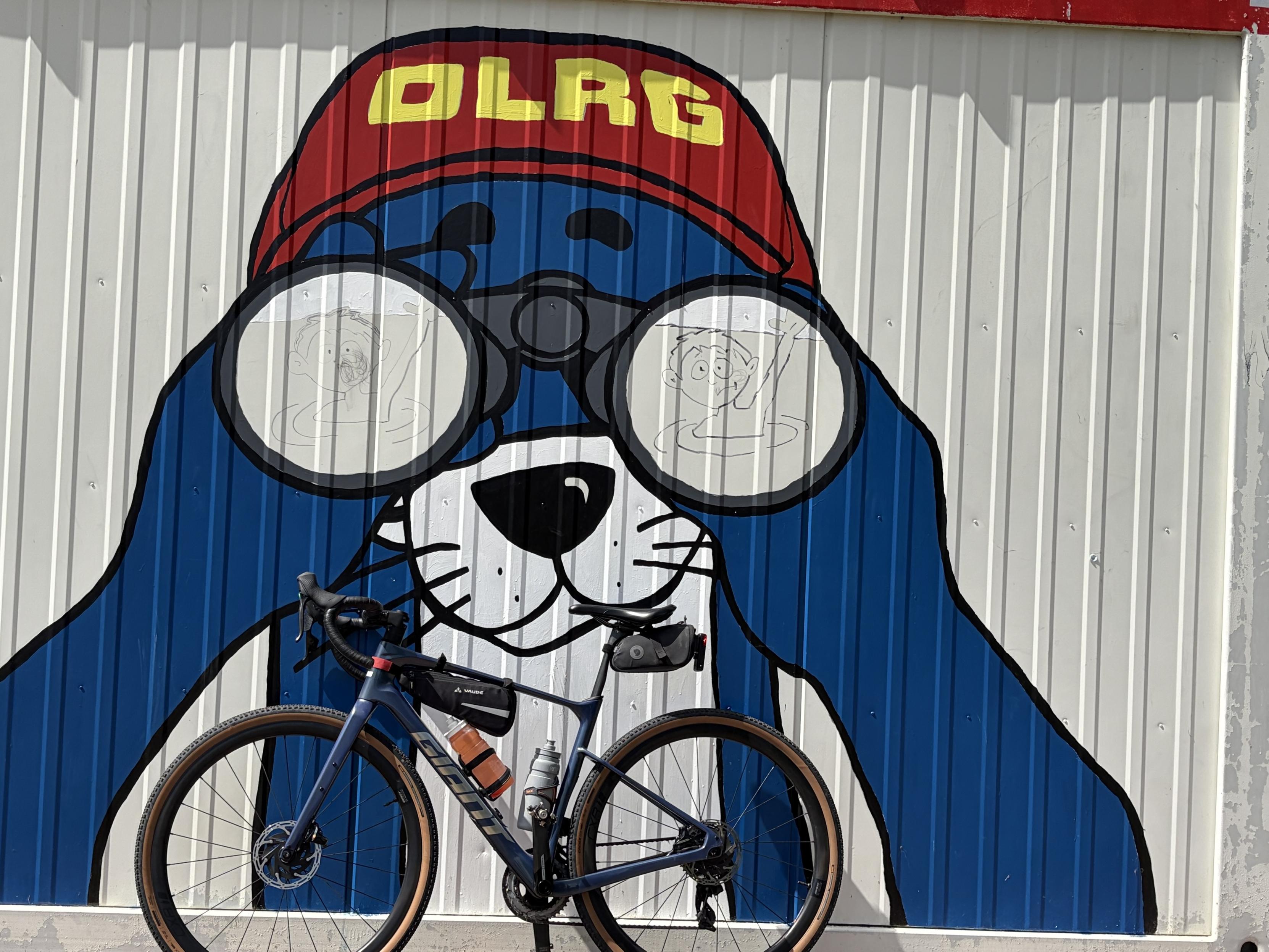 A bike is leaning against a colorful mural featuring a cartoon dog wearing glasses and a cap labeled "DLRG." The dog appears to be observing something through its glasses, with faint images inside the lenses. The background is a vertical striped wall in blue and