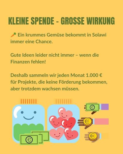 KLEINE SPENDE – GROSSE WIRKUNG
Ein krummes Gemüse bekommt in Solawi immer eine Chance.
Gute Ideen leider nicht immer – wenn die Finanzen fehlen! 
Deshalb sammeln wir jeden Monat 1.000 € für Projekte, die keine Förderung bekommen, aber trotzdem wachsen müssen.
