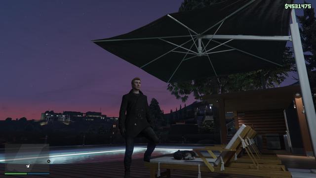 A screenshot of GTA Online where my character is standing next to his cat who's named after Veigar from League of Legends.
Veigar is napping on a pool lounger.