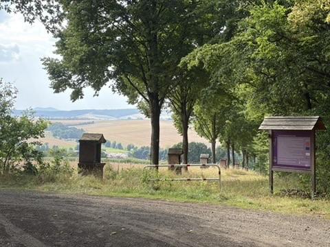A scenic view of a dirt path leading into a wooded area, with several beehives visible on the left. In the background, rolling fields and hills are seen under a partly cloudy sky. There's an information sign at the right side of the image
