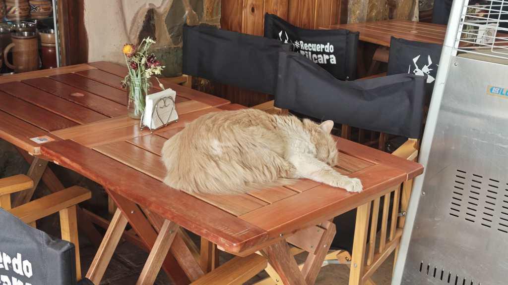 Bestellung von ALF. 😀