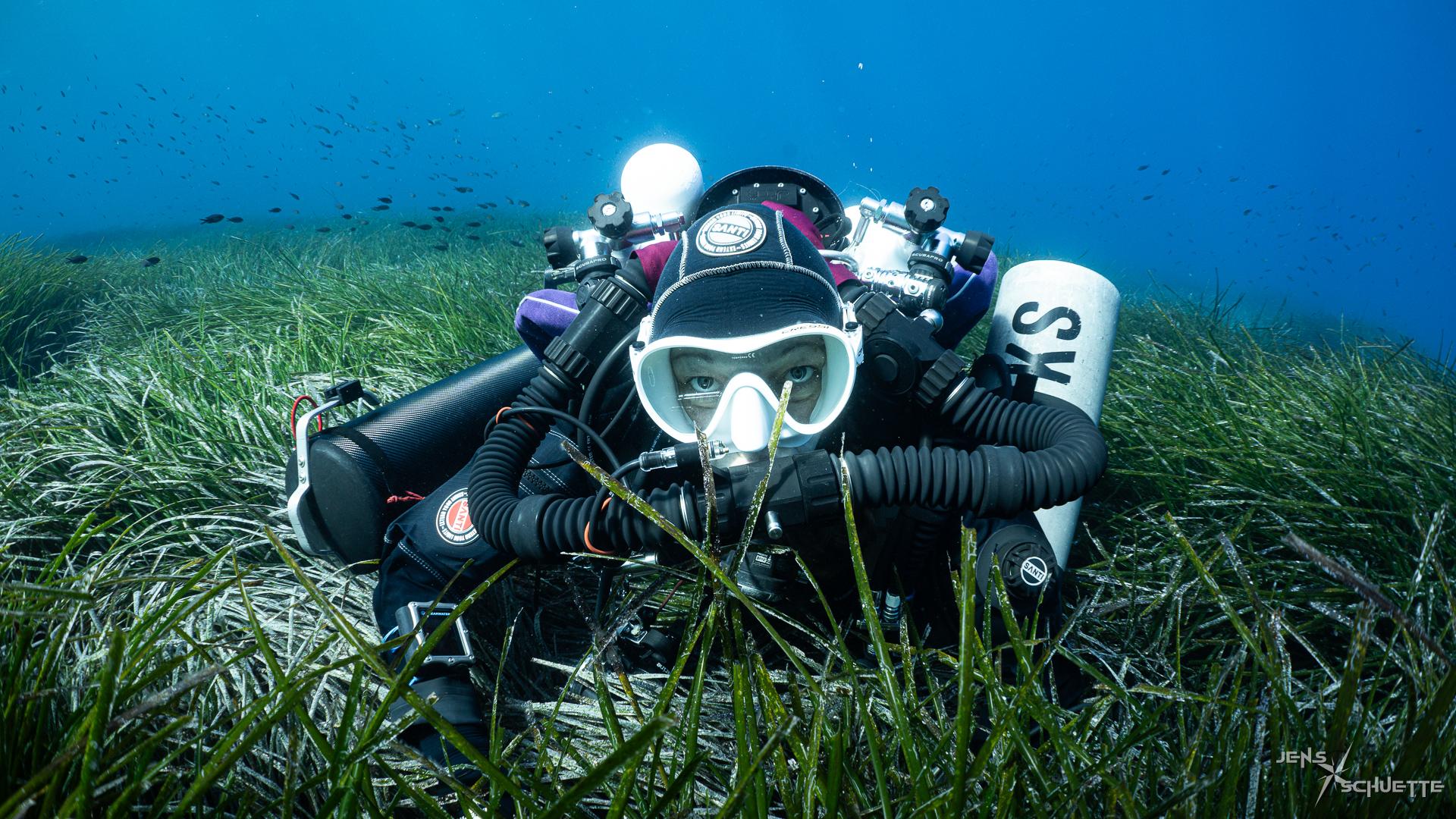 Scuba diver hding in sea grass