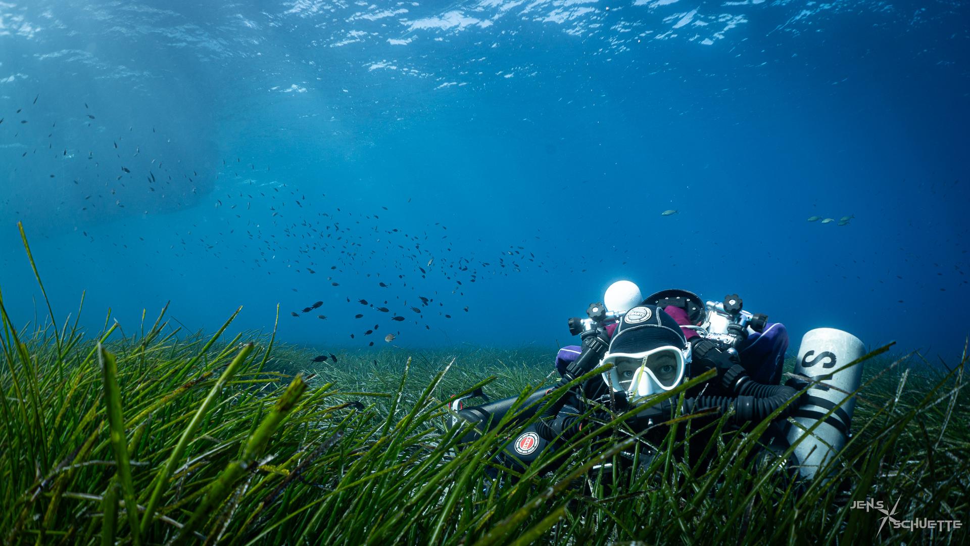 Scuba diver hding in sea grass