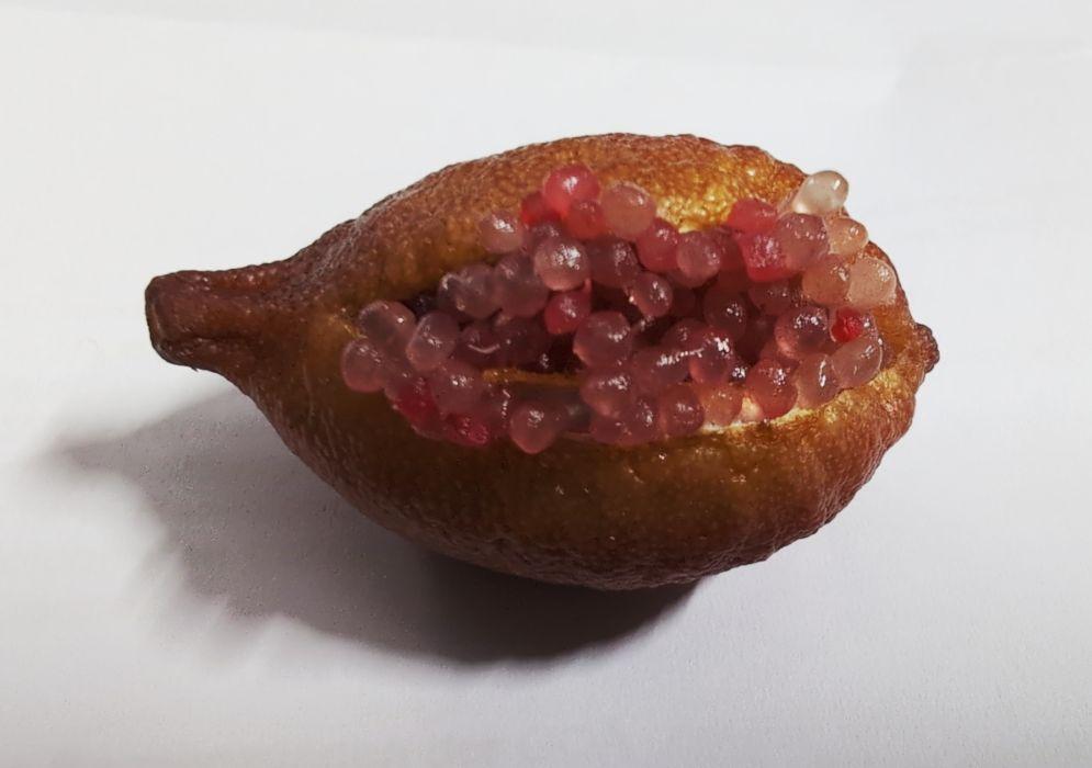 eine wie eine dickliche Gurke aussehende Frucht mit einem hevorstehenden Ansatz für den Stiel auf der linken Seite. Die Scahle ist bräunlich und die Struktur typisch für Zitrusfrüchte.
Die Frucht ist weil sie reif ist längs aufgeplatzt und deswegen quellen die roten Kügelchen heraus, die der Limette ihren Namen gegeben haben.