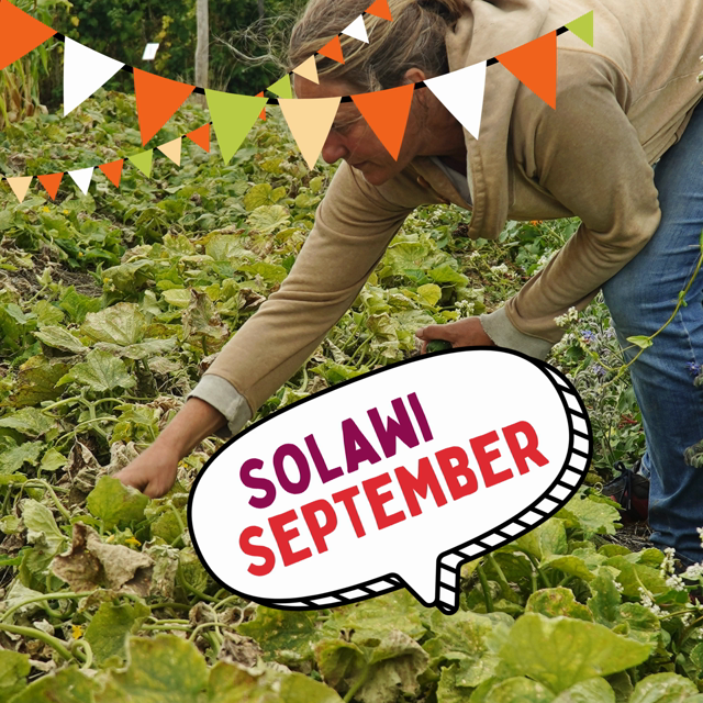 Jetzt im September 2026 zeigen wir mit über 80 lokalen Aktionen, was im Solawi-Prinzip steckt. U.a. mit einem Farm-To-Table-Dinner, Kürbisernte, Solawi-Gebutstagsfeier, Saatgut-Gewinnung uvm.
