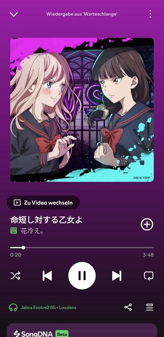 The song '命短し対する乙女よ' by '花冷え。' playing in Spotify.