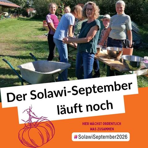 Der Solawi-September läuft noch