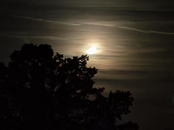 Der Mond hinter nebeligen Wolken. Im Vordergund sieht man die schwarze Silhouette einer Laubbaumkrone.